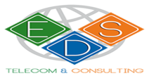 EDS Consulting